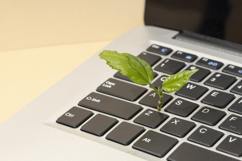 laptop waar plantje uit groeit
